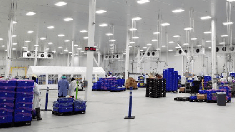 Packline Queue Management Interface